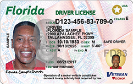 Learner's Permit - Pinellas County Tax Collector